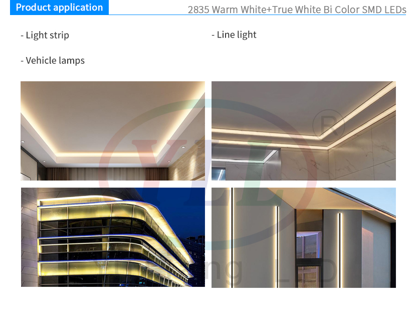 2835 White Bi Color Product application